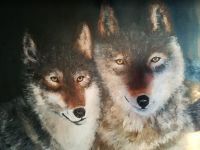 Wolven