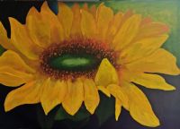 Zonnebloem